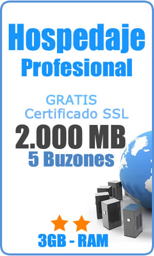 Hospedaje Profesional 2000 MB + 5 Emails