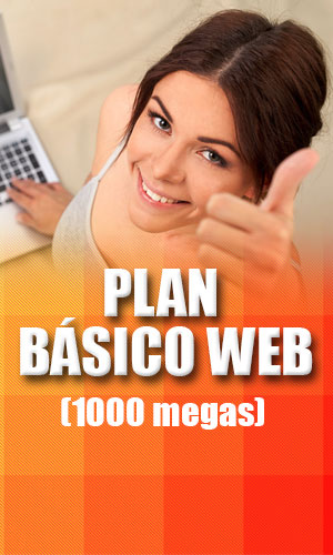 Plan Básico Web