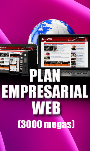 Plan Empresarial Web