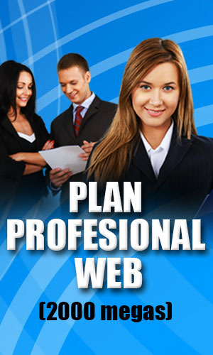 Plan Profesional Web