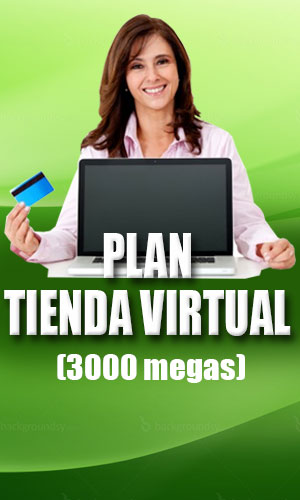 Plan Tienda Virtual